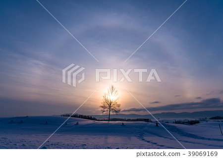 "Hokkaido" A phantom sun to look at the winter Biei and Shinei hills "Hokkaido" A phantom sun to look at the winter Biei and Shinei hills 39069169