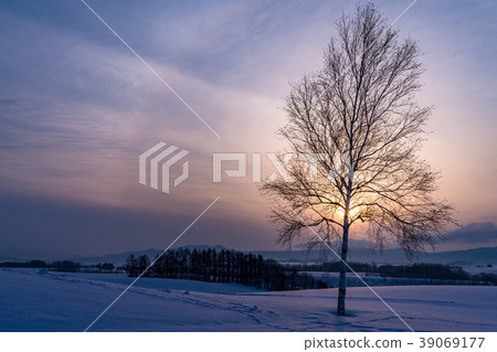"Hokkaido" A phantom sun to look at the winter Biei and Shinei hills 39069177