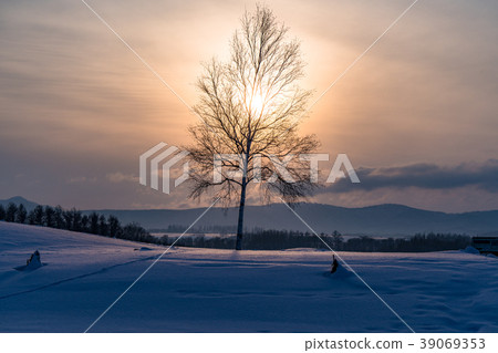 《北海道》冬季美瑛/ Shinei no Oka 《北海道》冬季美瑛/ Shinei no Oka 39069353