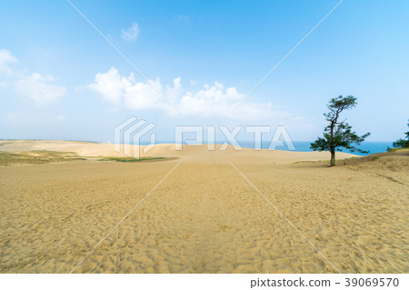 Tottori sand dunes 39069570
