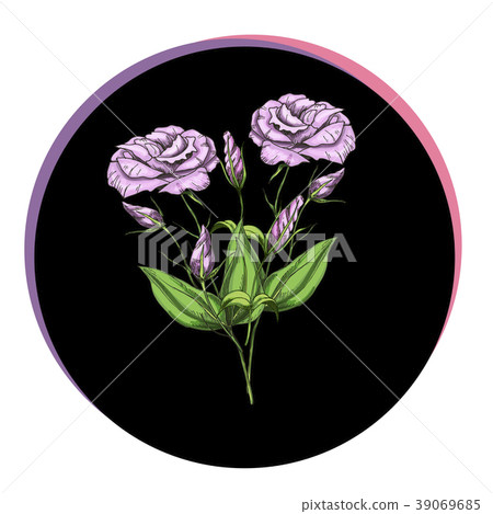 Beautiful eustoma flowers in a black circle. Beautiful eustoma flowers in a black circle. 39069685