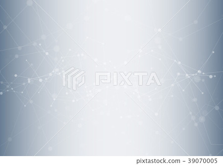 Network connection 39070005