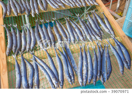Dried Sanma 39070971