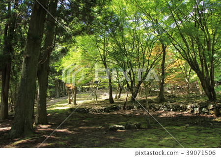 Ashizuri Uwakai國家公園知床谷自然休閒森林 39071506