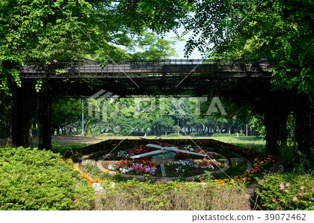 Funabashi City Gyoda Park Funabashi City Gyoda Park 39072462