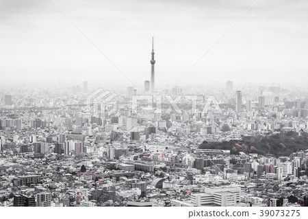 city skyline view of Ikebukuro in tokyo, japan 39073275