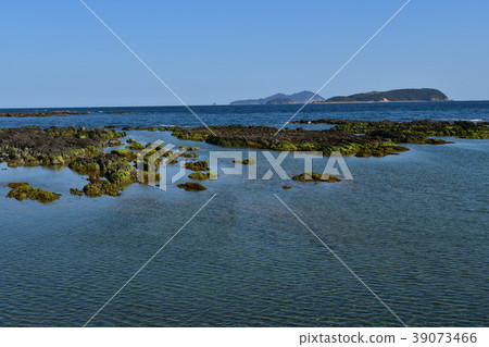 大沙海岸海 39073466