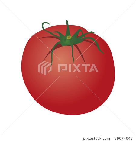 Tomato Tomato 39074043
