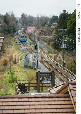[Shizuoka Prefecture] Jogasaki Kaigan Station Train 39074481