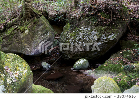 Hachiya Sugaya 39074610