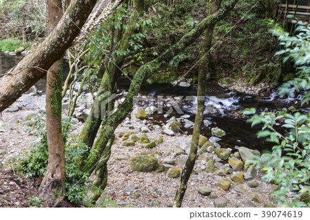 Hachiya Sugaya 39074619