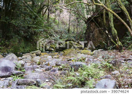 Hachiya Sugaya Hachiya Sugaya 39074624