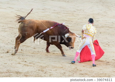 Corrida. Fighting in a typical Spanish Bullfight 39074811