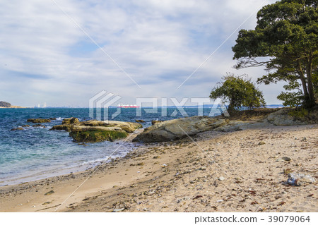 海岸三浦Tsumeakizaki 海岸三浦Tsumeakizaki 39079064