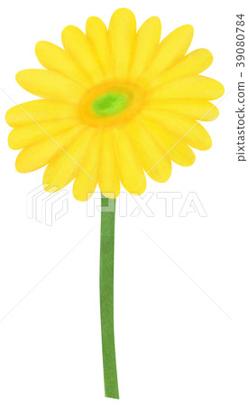 Hand-drawn illustration gerbera yellow 39080784