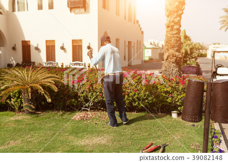 Man is cutting trees in the park 39082148