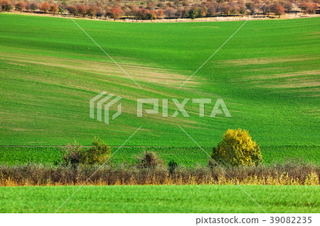 Famous moravian fields - Czech Republic 39082235