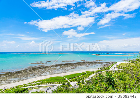 [Okinawa Prefecture] Tropical image 39082442