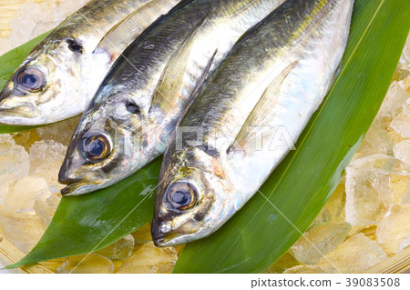 Horse mackerel 39083508