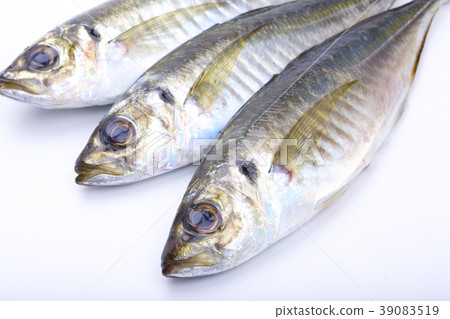 Horse mackerel 39083519