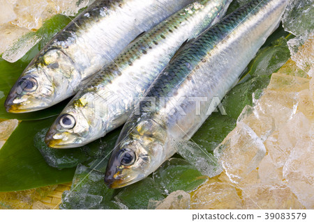 沙丁魚 沙丁魚 39083579