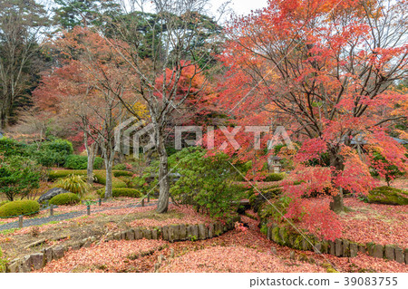 Kairakuen Fall Scene 39083755