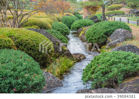 Serene in the garden Serene in the garden 39084381