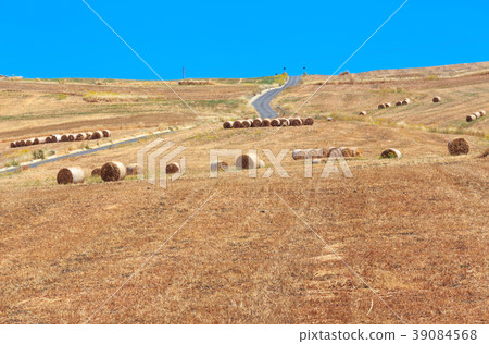 Sicily summer agriculture countryside, Italy 39084568