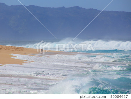 北岸,夏威夷瓦胡島 北岸,夏威夷瓦胡島 39084627