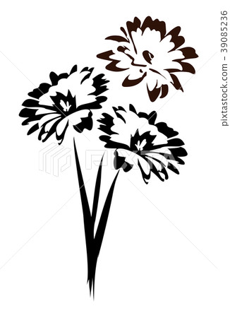 black and white bouquet of daisy flowers black and white bouquet of daisy flowers 39085236