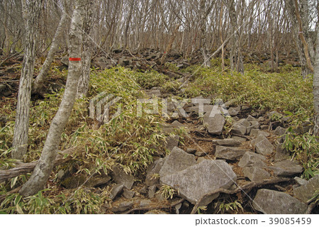 Gunma Prefecture Akagiyama Kurosuyama mountain trail 5 39085459