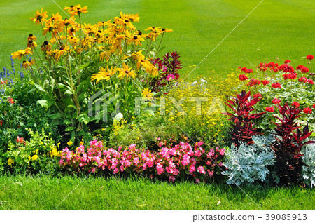 Summer flower bed and green lawn. Summer flower bed and green lawn. 39085913