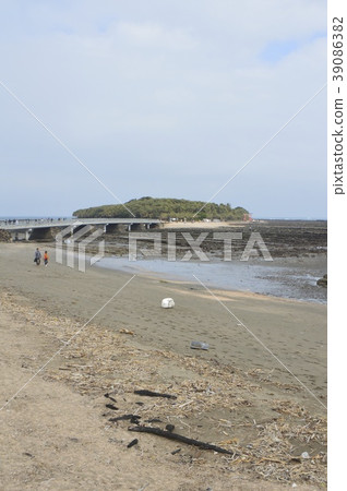 青島（宮崎縣宮崎市青島市） 39086382