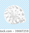 Vector seashell isolated  on the transparent back 39087259