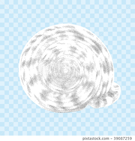 Vector seashell isolated on the transparent back Vector seashell isolated on the transparent back 39087259