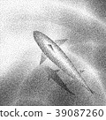 Aerial view of a shark  swimming in clear water. 39087260