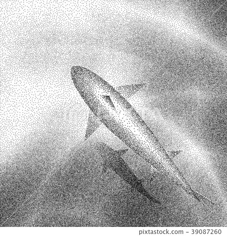 Aerial view of a shark swimming in clear water. Aerial view of a shark swimming in clear water. 39087260