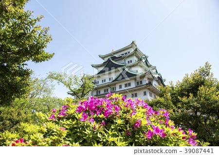 Fresh green Nagoya castle 39087441