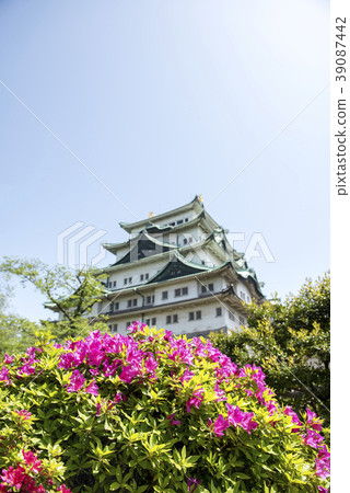 Fresh green Nagoya castle 39087442