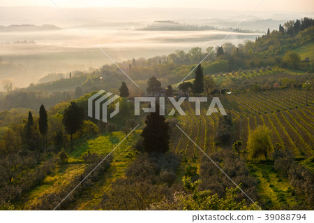 Typical Tuscan landscape 39088794