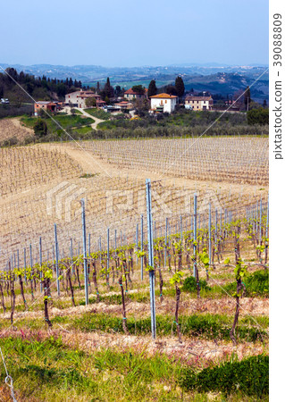 Typical Tuscan landscape 39088809