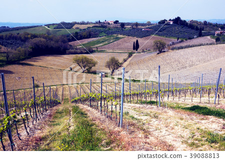 Typical Tuscan landscape 39088813