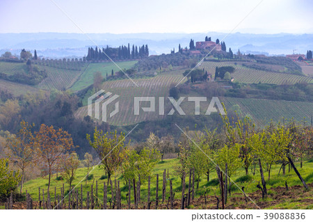Typical Tuscan landscape 39088836