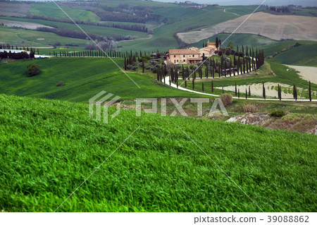 Typical Tuscan landscape Typical Tuscan landscape 39088862
