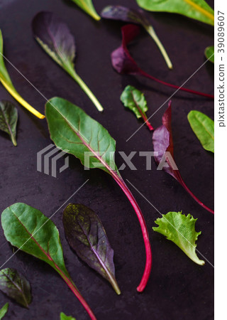 baby salad leaves 39089607