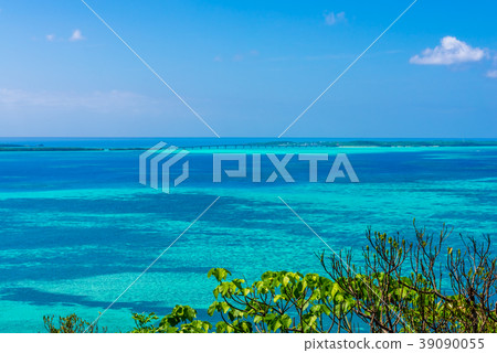 From Okamijima Omidai 39090055