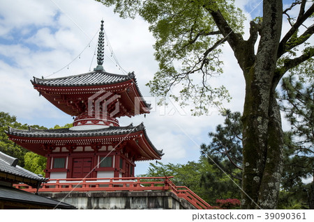 大澤池塘新鮮的綠色 大澤池塘新鮮的綠色 39090361