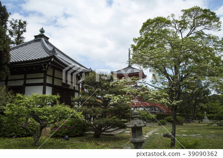 大澤池塘新鮮的綠色 39090362