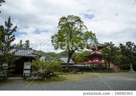 大澤池塘新鮮的綠色 39090363