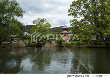 大澤池塘新鮮的綠色 39090365